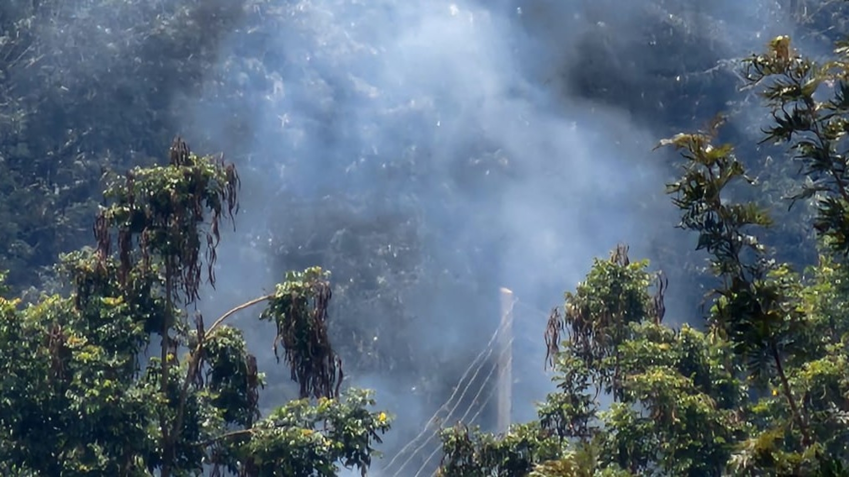 carbon-offsets-dar-side