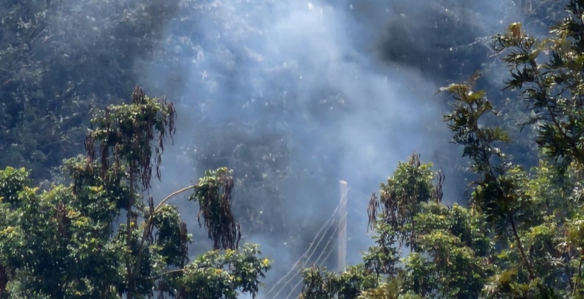 carbon-offsets-dar-side